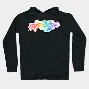 Striped Dolphin rainbow watercolour Hoodie